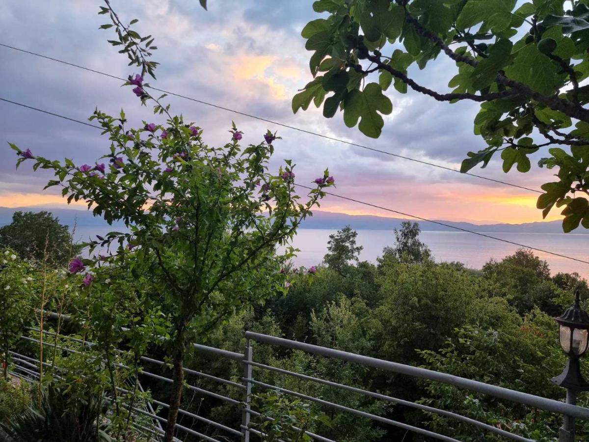 Vila Anastas Ohrid Exterior photo